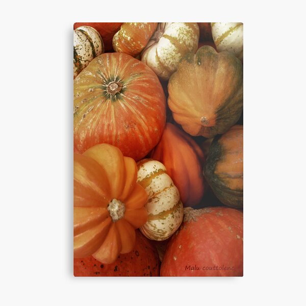 Pumpkin Time Metal Print