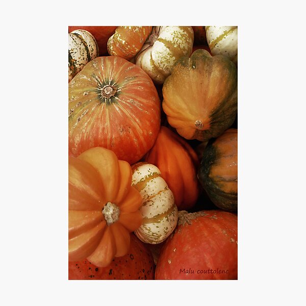 Item preview, Pumpkin Time designed and sold by MaluC.