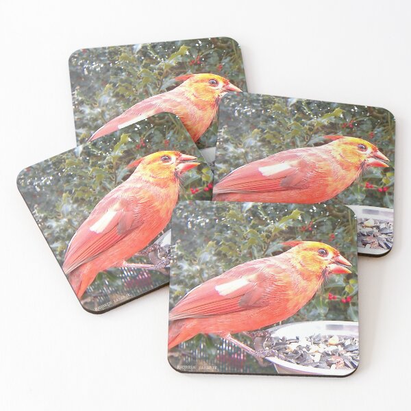 Item preview, multi colored CARDINAL designed and sold by Maureen Zaharie.