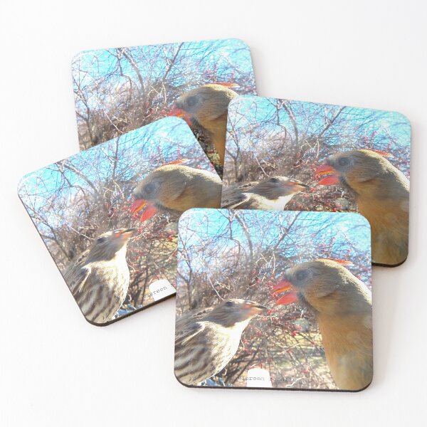 Item preview, A Cardinal and a Finch designed and sold by Maureen Zaharie.