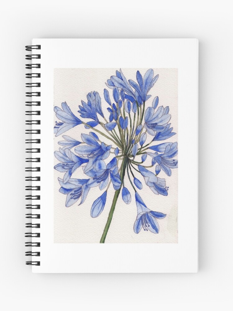 Cuaderno de espiral «Agapanto flor acuarela» de esvb | Redbubble