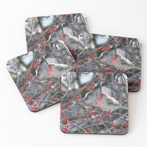 Item preview, FINCH designed and sold by Maureen Zaharie.