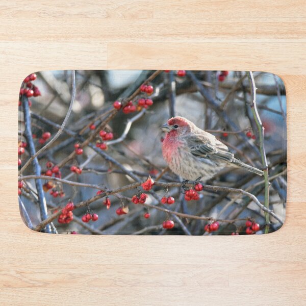 Item preview, FINCH designed and sold by Maureen Zaharie.