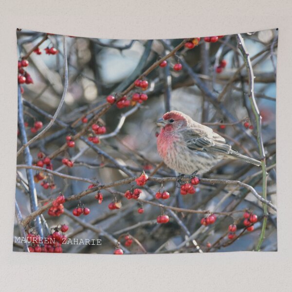 Item preview, FINCH designed and sold by Maureen Zaharie.