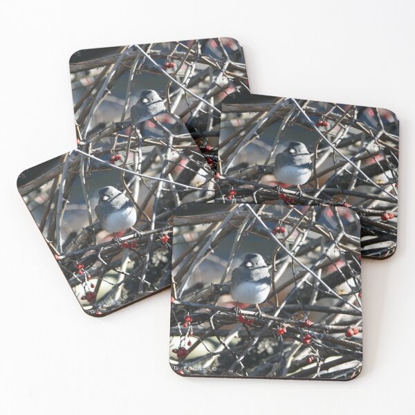 Item preview, JUNCO in the berries designed and sold by Maureen Zaharie.