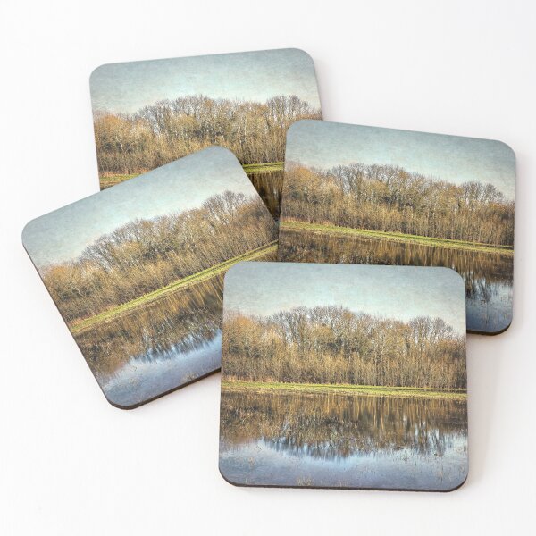 Item preview, Winter Trees Reflected designed and sold by IanWL.