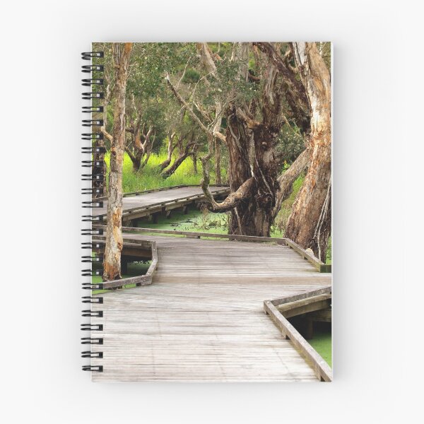 Item preview, Melaleuca Boardwalk designed and sold by W E NIXON  PHOTOGRAPHY.