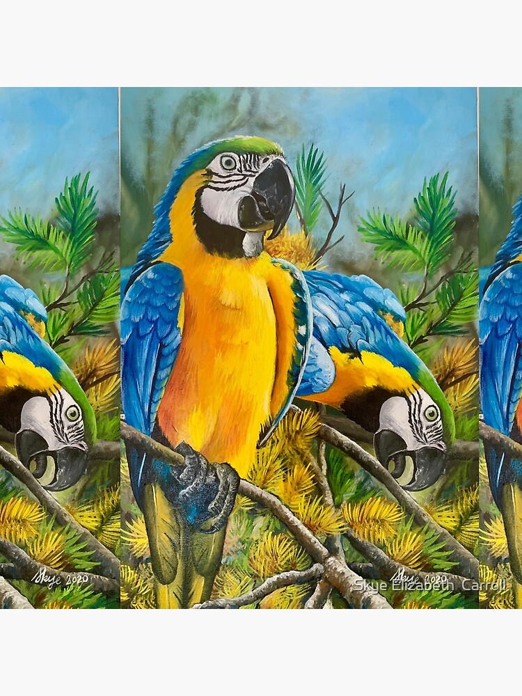 Blue and Gold Macaws #1 by SkyeElizabeth