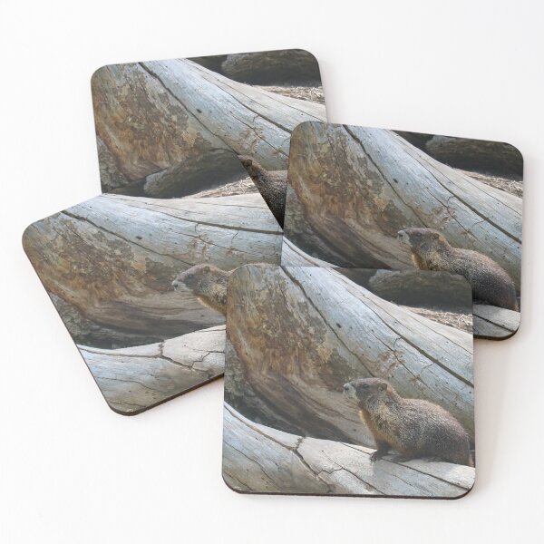 Item preview, Hello Marmot designed and sold by BarbaraWilliams.