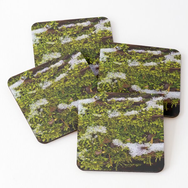 Item preview, Icy Moss on a Fallen Log designed and sold by Imarkberry.