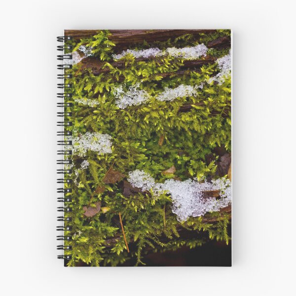 Item preview, Icy Moss on a Fallen Log designed and sold by Imarkberry.
