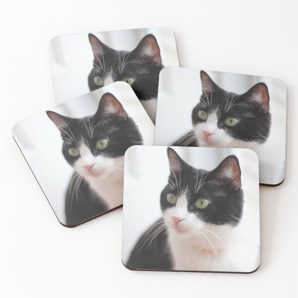 Item preview, Black and White Cat designed and sold by Imarkberry.