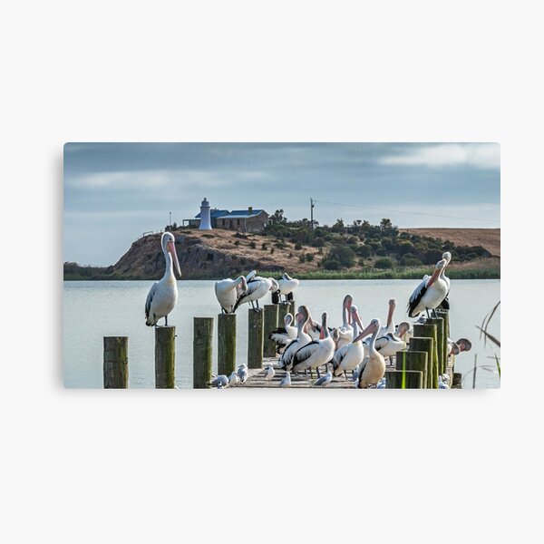 Narrung lighthouse Canvas Print