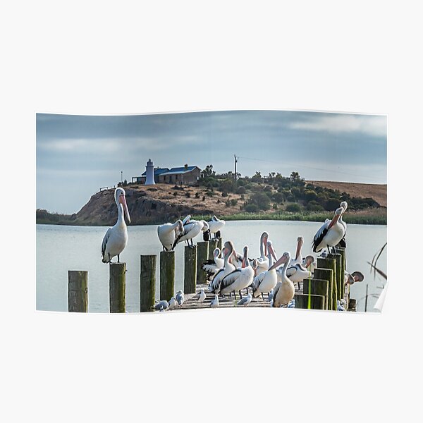 Narrung lighthouse Poster