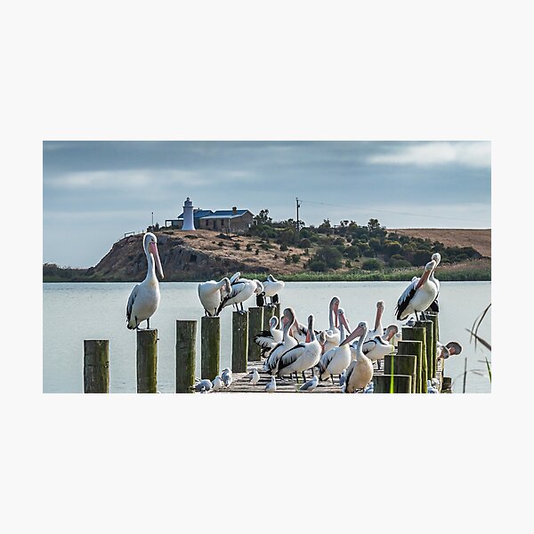 Item preview, Narrung lighthouse designed and sold by Roger Neal.