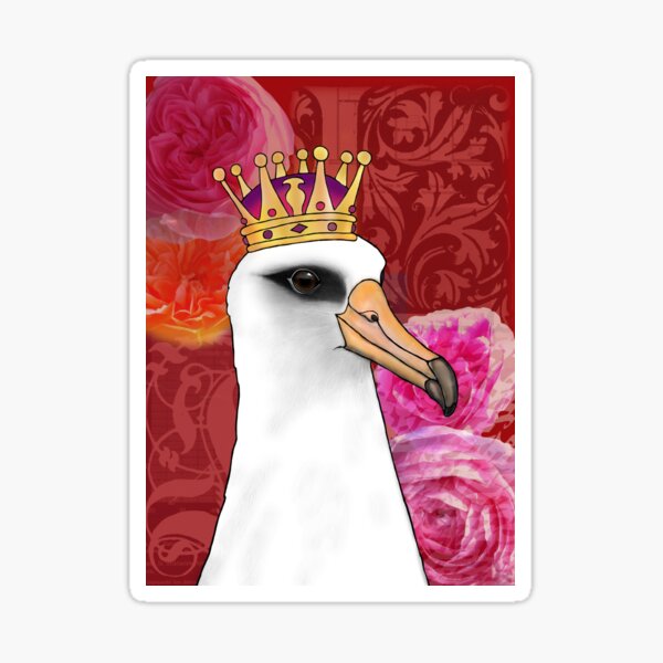 Laysan Albatross Sticker