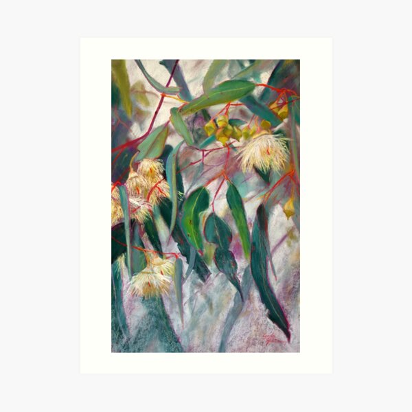 Ironbark Art Print