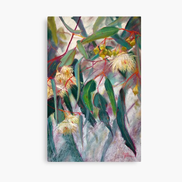 Ironbark Canvas Print