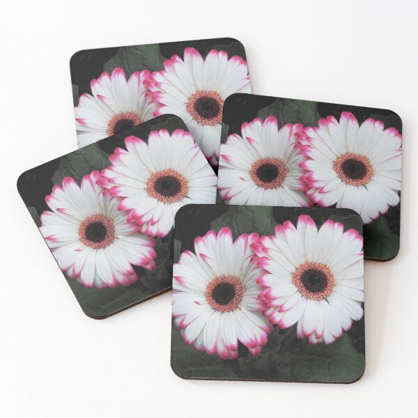 Item preview, Dainty Duo - Pink Tipped Gerbera Daisies designed and sold by BlueMoonRose.