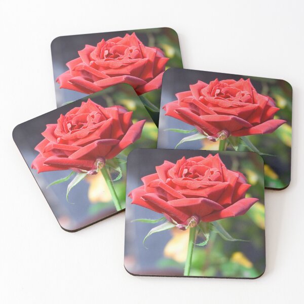 Item preview, Rose in Bloom designed and sold by mhall.
