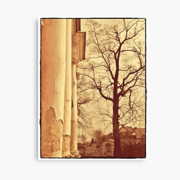 forgotten palace Canvas Print