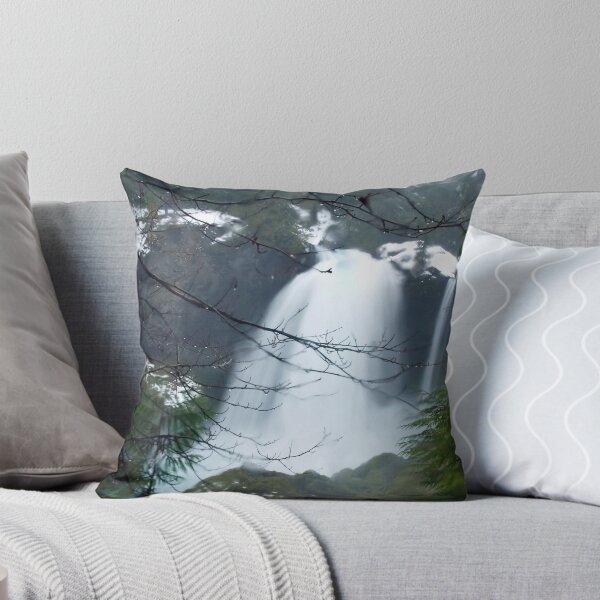 Item preview, Wintertime Shahalee Falls Obscured by Branches designed and sold by OrPhotoJohn.