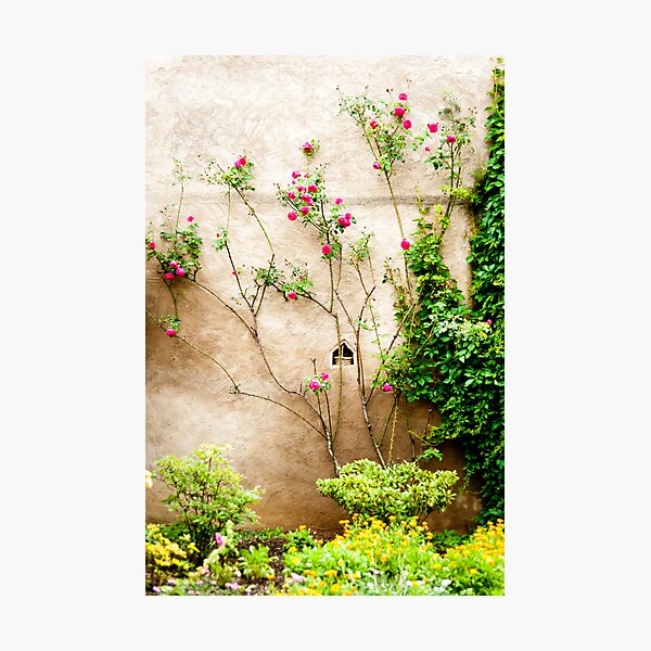 Just Beautiful 2 Photographic Print