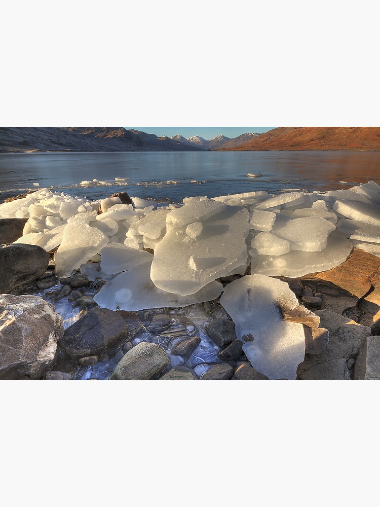 Arklet Ice (1) by Shuggie