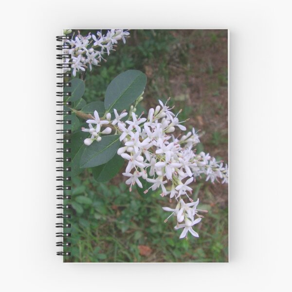Item preview, White Flowering Bush designed and sold by Cleave.