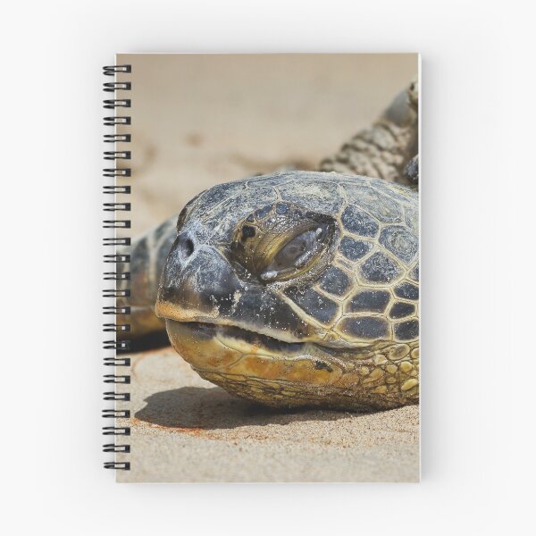 Item preview, Honu designed and sold by Alex Preiss.