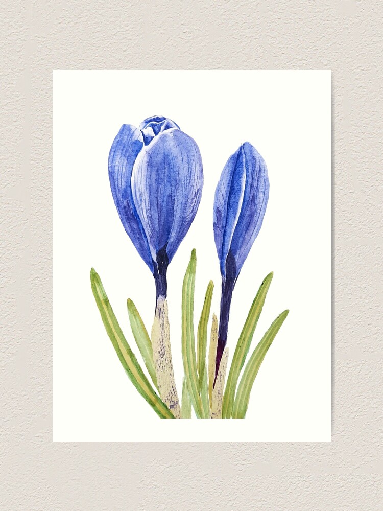 フローラル図案集 「Bunte Bluten, blaue Schwerter Bunte Blüten - blaue Schwerter: Meissener Blumenmalerei