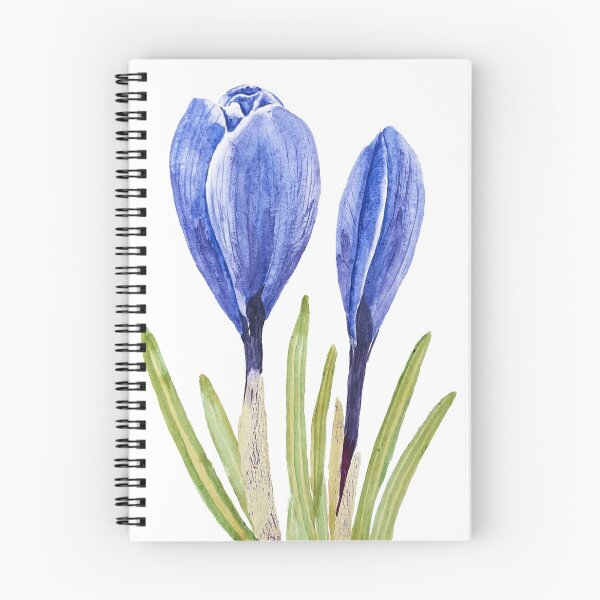 Item preview, hand painted blue crocus buds watercolor painting  designed and sold by ColorandColor.