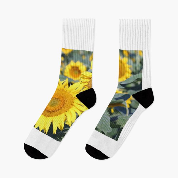 Item preview, field with sunflowers and bees in summer agriculture designed and sold by goceris.