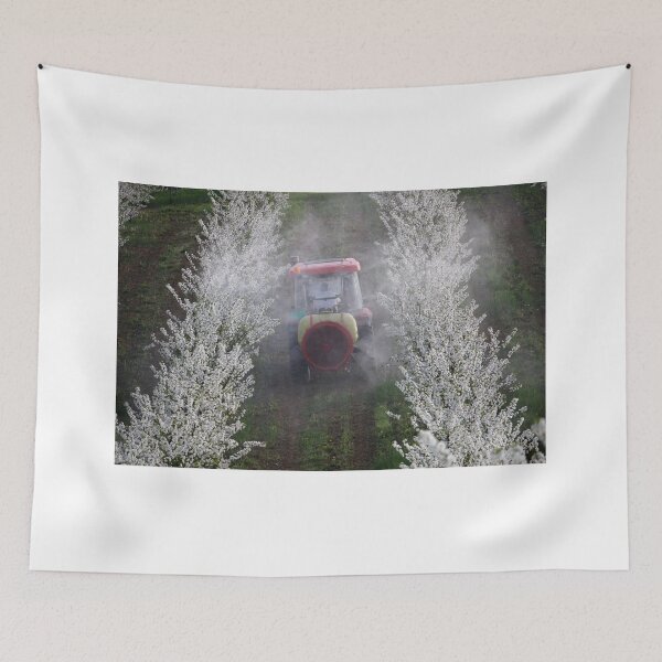 Item preview, tractor sprays insecticide in cherry orchard in spring   designed and sold by goceris.