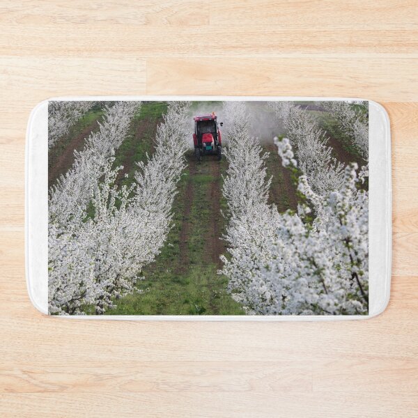 Item preview, tractor sprays insecticide in cherry orchard on the hill designed and sold by goceris.