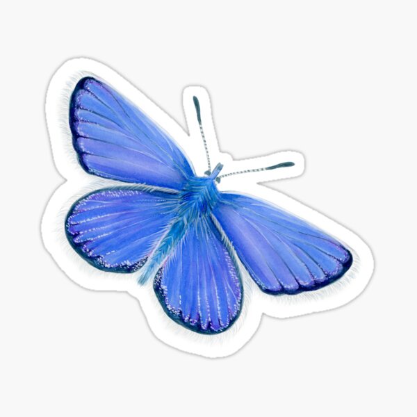 Adonis Blue Butterfly Watercolor Painting Artwork Sticker