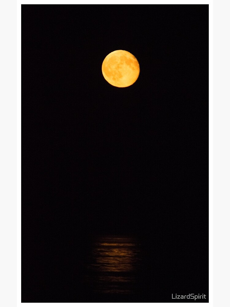 Full Moon Over Ocean Greeting Card By Lizardspirit Redbubble