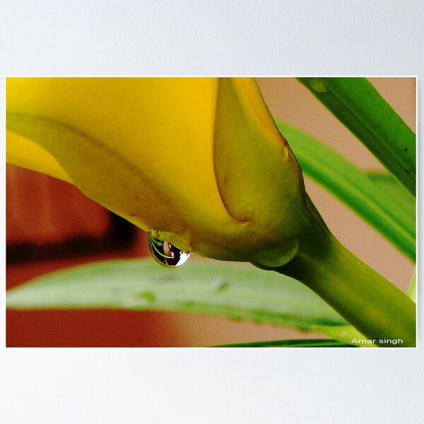 Item preview, yellow flower with water drop designed and sold by amar064.