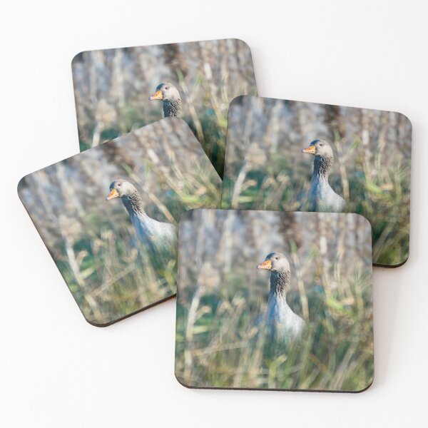 Item preview, A Greylag Goose (Anser anser)  designed and sold by Logopad.