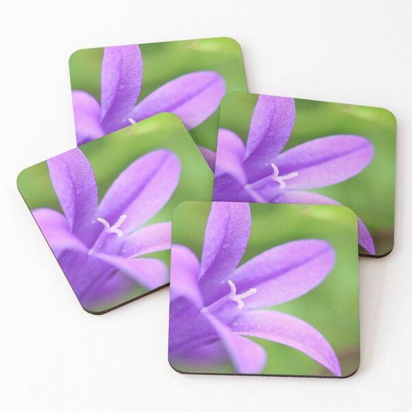 Item preview, Campanula macro designed and sold by Grégory DUBUS.