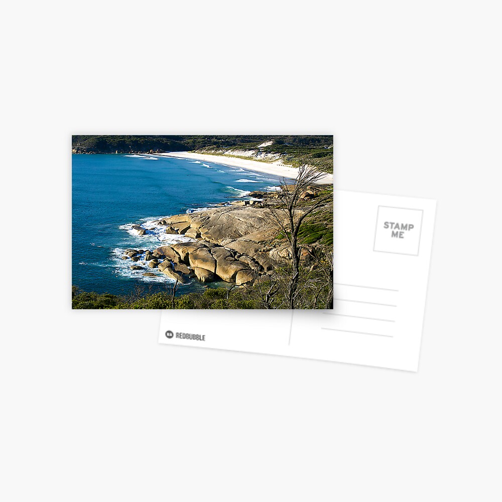 Item preview, Postcard designed and sold by johnrf.
