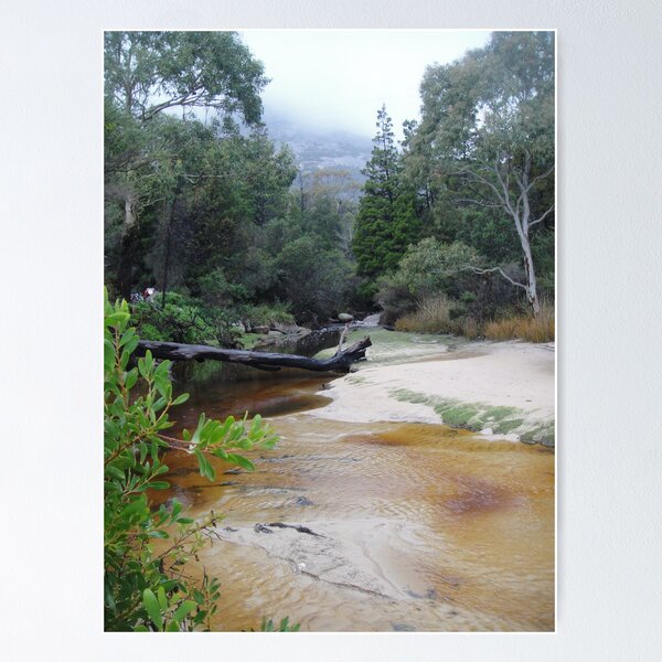 Item preview, Fisheries, Coles Bay, Tasmania designed and sold by Wendy Dyer.
