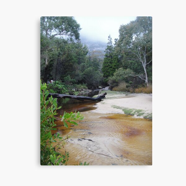 Item preview, Fisheries, Coles Bay, Tasmania designed and sold by Wendy Dyer.