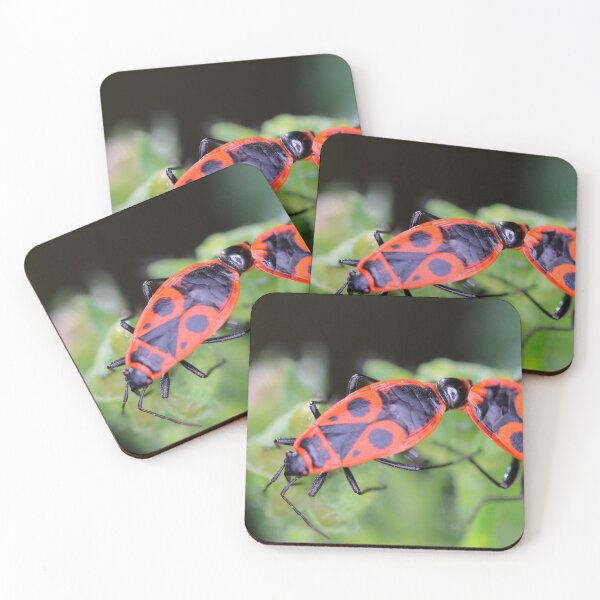 Item preview, Two fire bug insects macro mating in nature designed and sold by Grégory DUBUS.