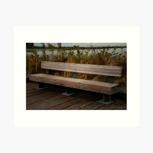 Item preview, The Bench designed and sold by MaluC.