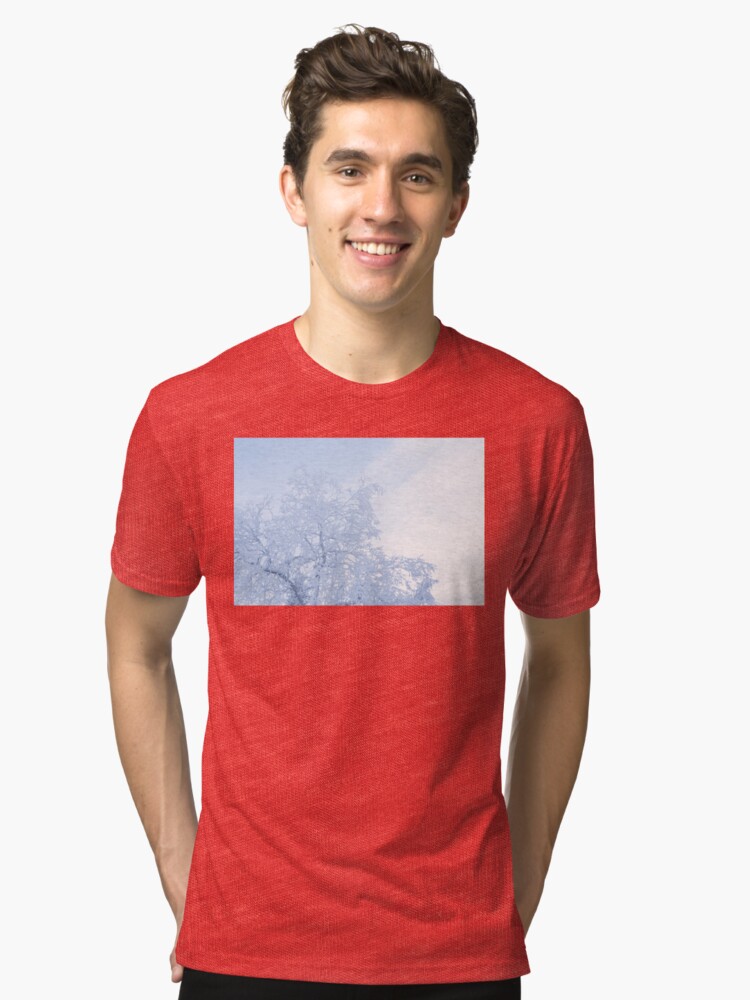 Alternate view of Tree covered in hoarfrost and sky Tri-blend T-Shirt