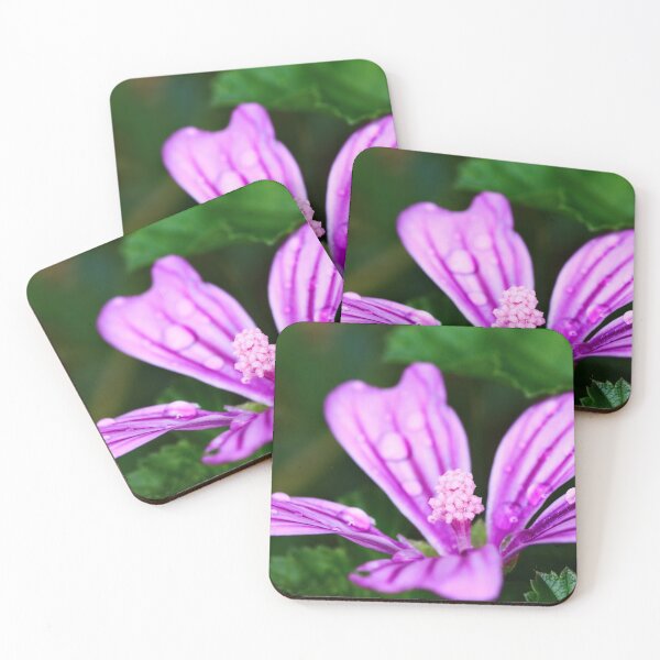 Item preview, Mallow flower freshness designed and sold by Grégory DUBUS.