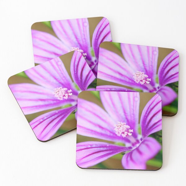 Item preview, Mallow flower freshness designed and sold by Grégory DUBUS.