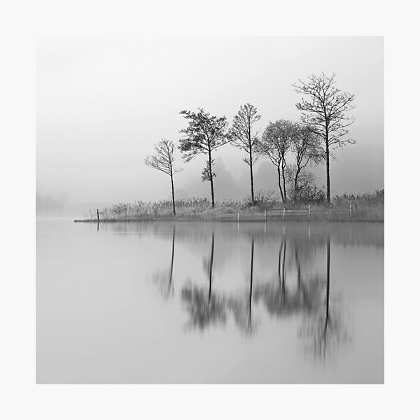 Fine Trees from the misty shore of Loch Ard Photographic Print