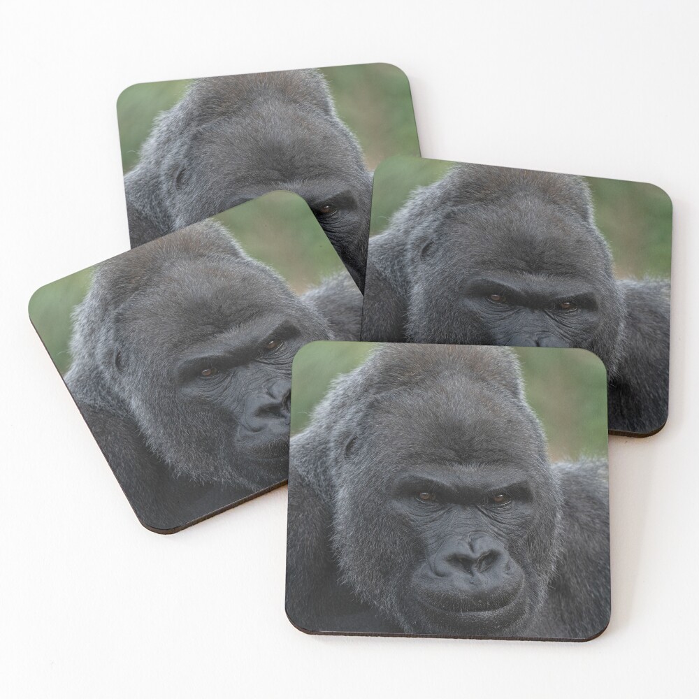 Item preview, Coasters (Set of 4) designed and sold by rawshutterbug.